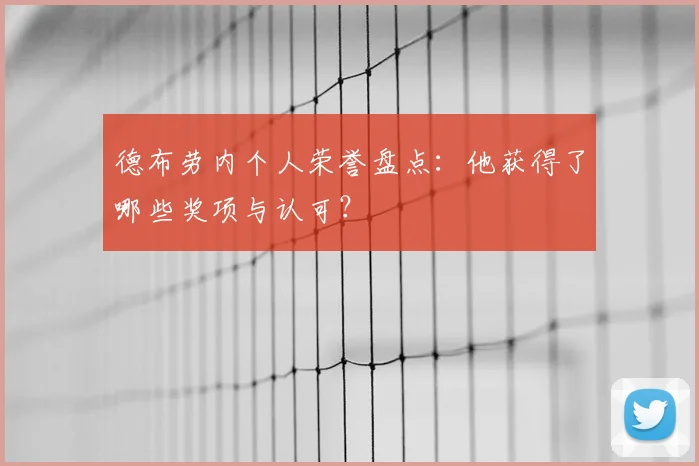 德布劳内个人荣誉盘点：他获得了哪些奖项与认可？