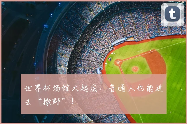 世界杯场馆大起底，普通人也能进去“撒野”！