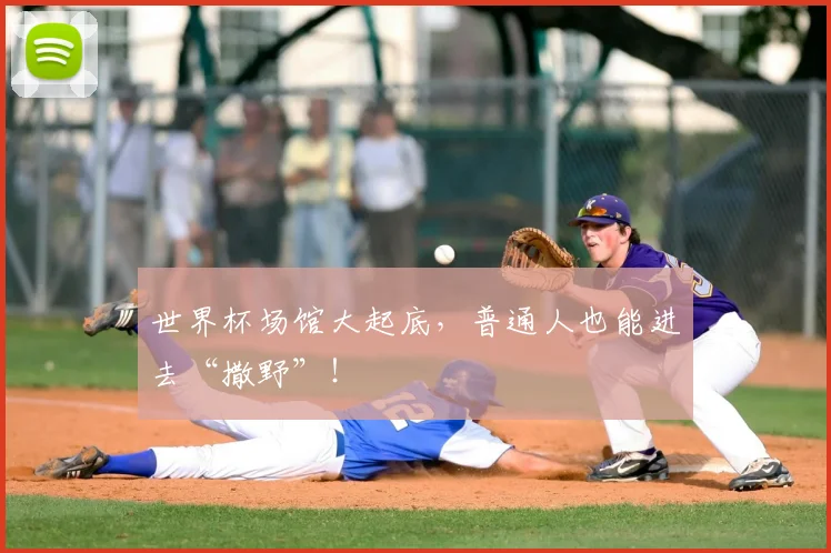 世界杯场馆大起底，普通人也能进去“撒野”！
