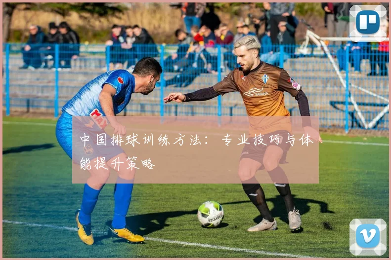 中国排球训练方法:专业技巧与体能提升策略